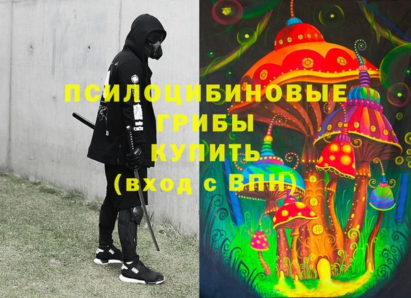 дмт Гусиноозёрск