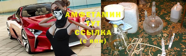 крисы Гусев