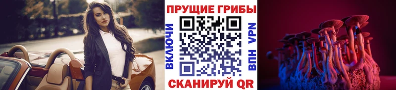 Псилоцибиновые грибы мицелий  Домодедово 